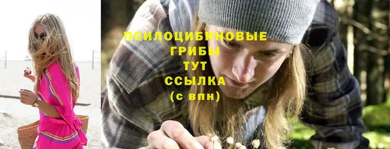 omg как зайти  хочу   Мегион  Псилоцибиновые грибы Psilocybine cubensis 